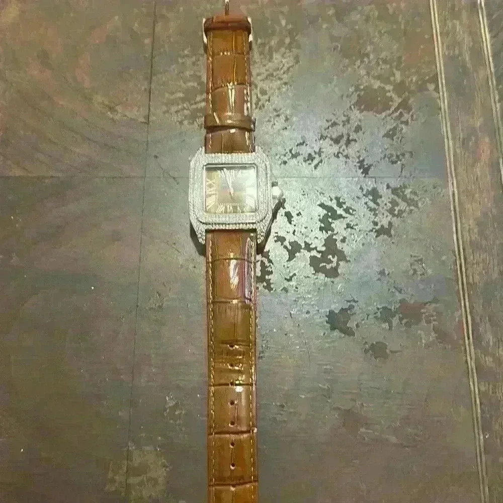 CHRISTIAN Van Sant Watch